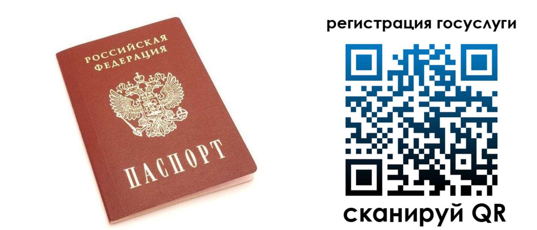 прописка 2025 в Соколе